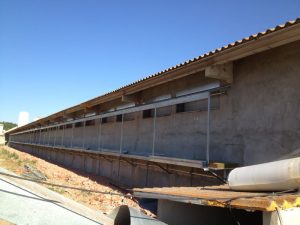 instalación humidificación gallinero